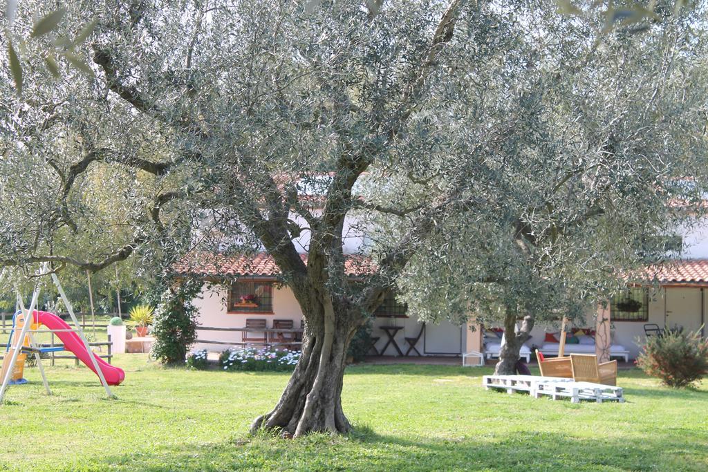 Borgo S.Maria Di Vulci Affittacamere Montalto di Castro Esterno foto