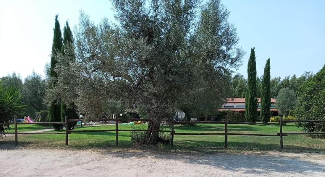 Borgo S.Maria Di Vulci Affittacamere Montalto di Castro Esterno foto